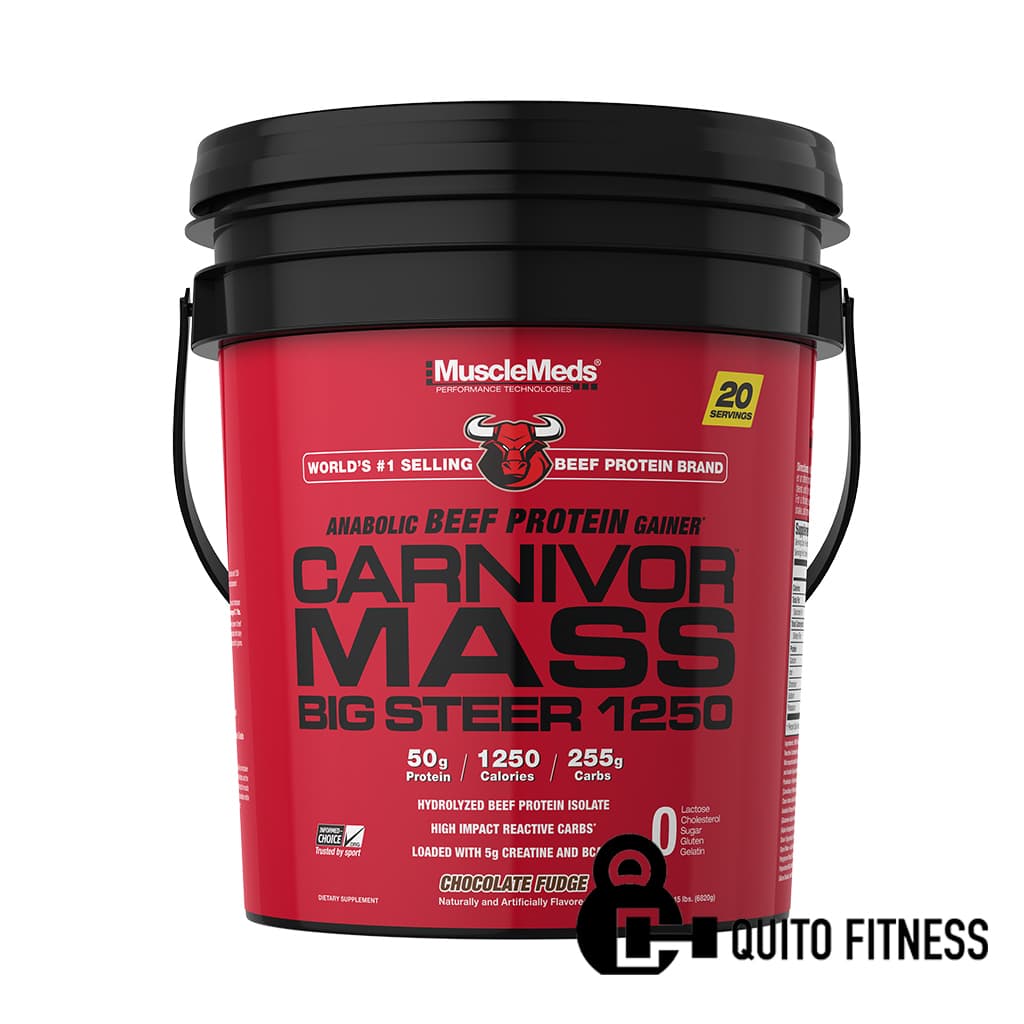 CARNIVOR MASS 15LB CHOCOLATE FUDGE